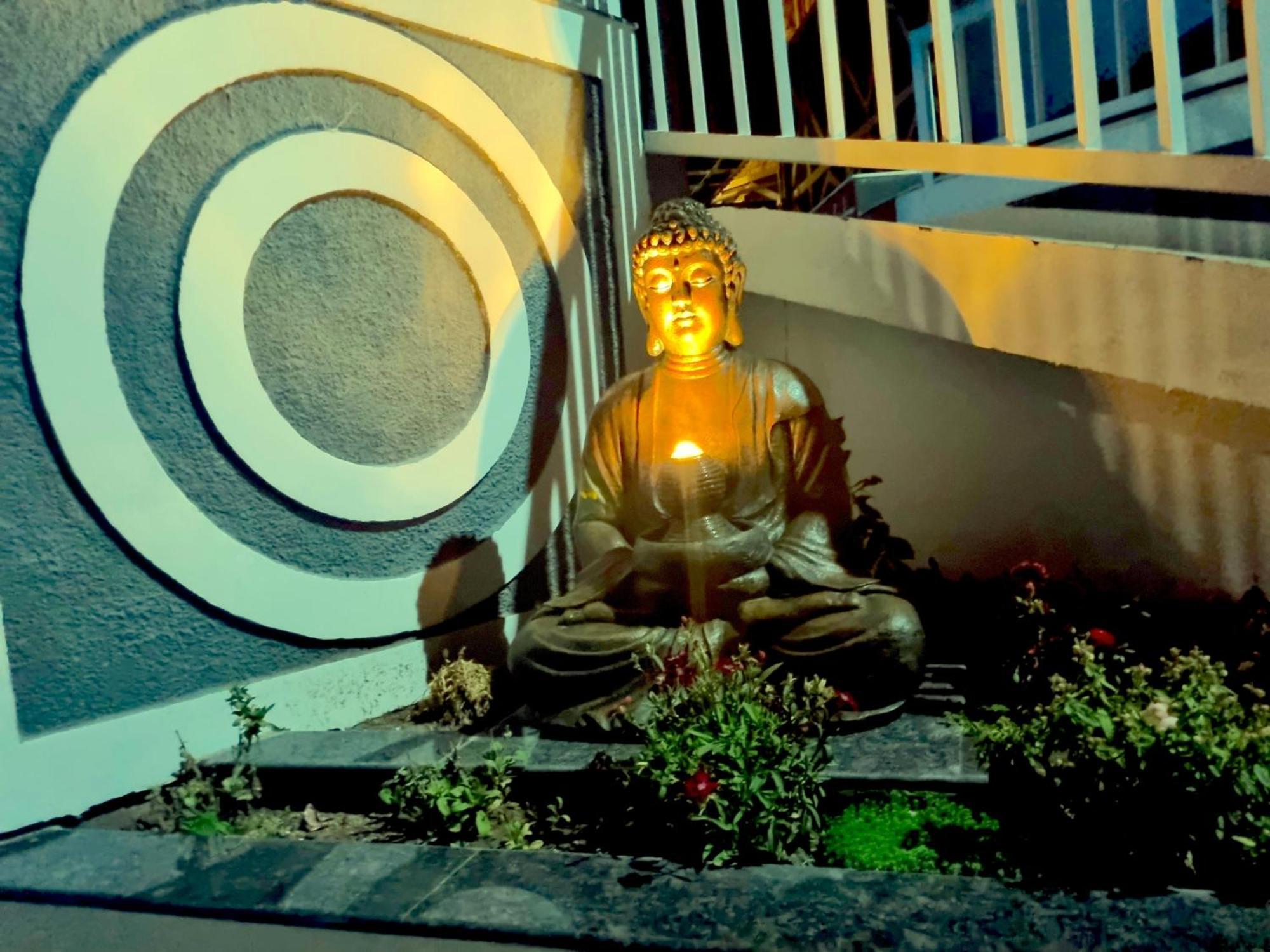 Hotel Wood Stock Luxury - A Boutique Property - Penthouse - Open Air Restaurant & Terrace Kasauli Exterior foto
